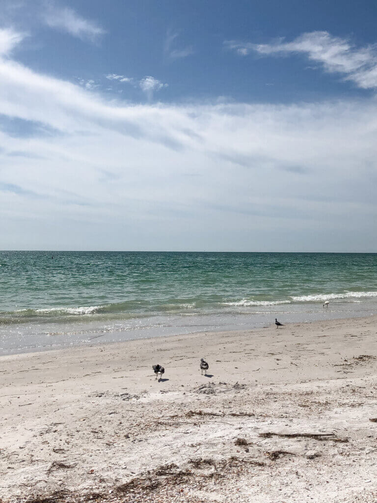 Florida Beach Day Playlists to Match Your Mood