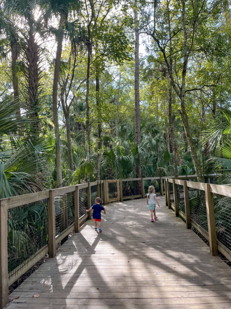 Central Florida Zoo with Toddlers (& Why It’s Perfect for Littles!)