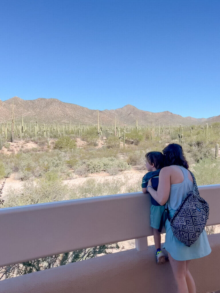 Saguaro National Park with Kids: Easy Desert Trails and Family Tips